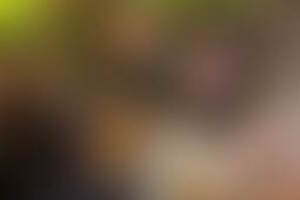 Фотография квиза Brain Surf от компании Brain Surf (Фото 2)